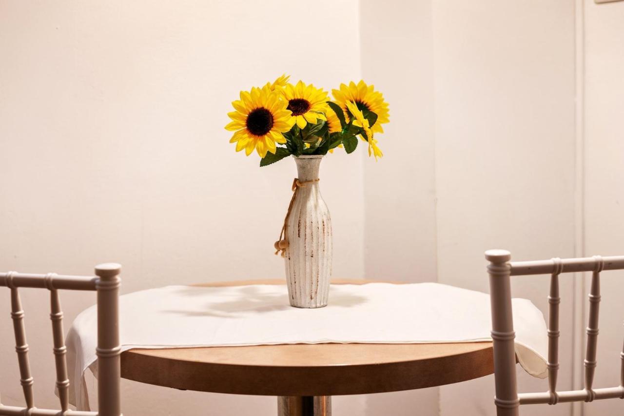 Diac Apartment Center Брашов Екстериор снимка
